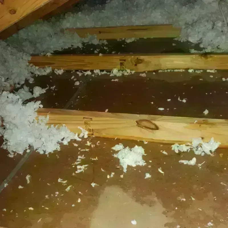 Attic Water Damage in Fremont, OH