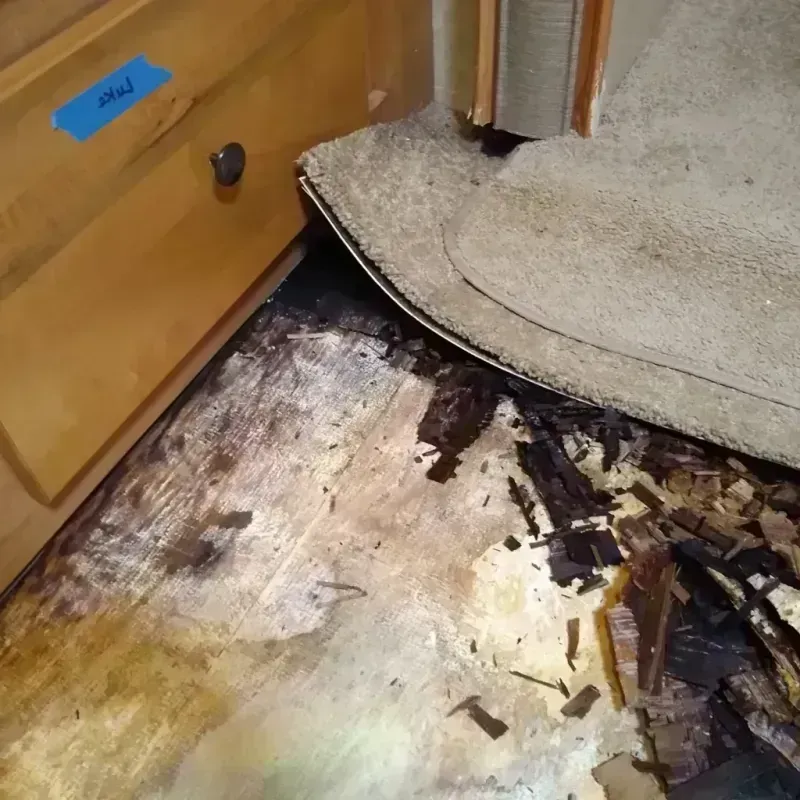 Wood Floor Water Damage in Fremont, OH